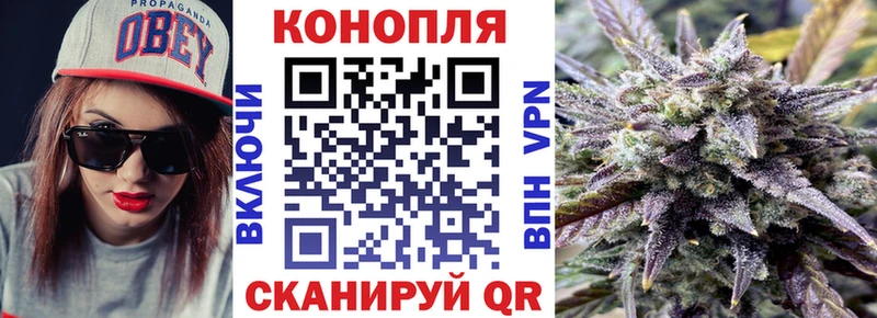 Марихуана конопля  купить наркоту  Чкаловск 